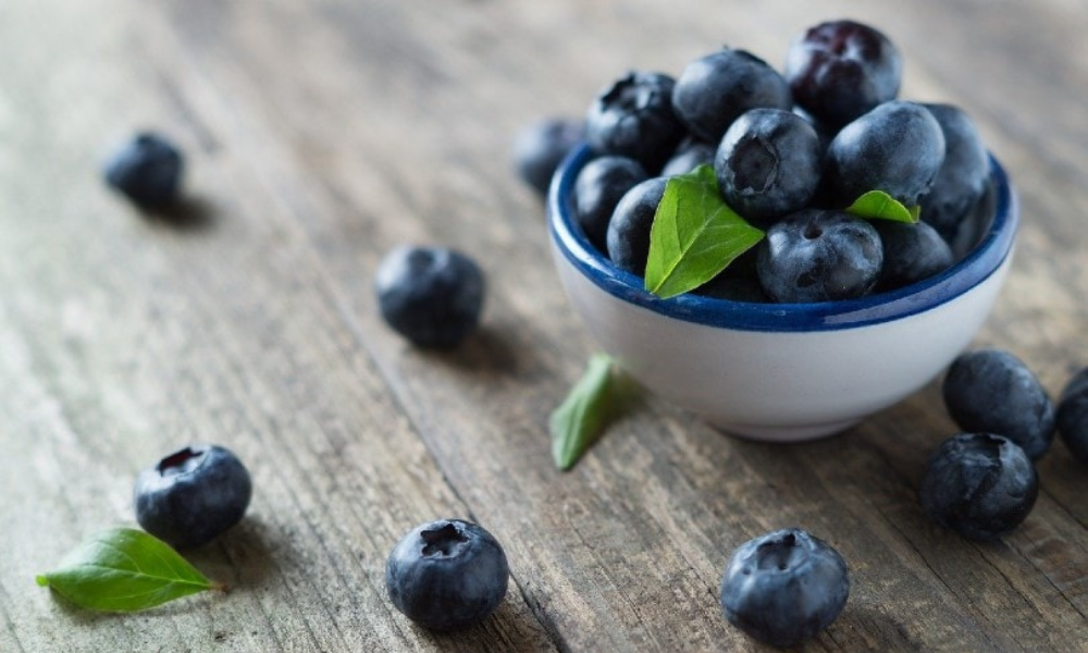 Can Chinchillas Eat Blueberries?