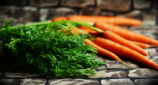 Can Gerbils Eat Carrots?